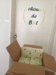 levering ik en den theo 2.0&nbsp;(2)(klein)